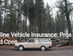 Online Vehicle Insurance: Pros and Cons